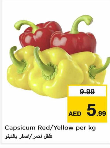  Chilli / Capsicum  in Nesto Hypermarket in UAE - Fujairah
