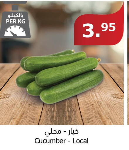  Cucumber  in الراية in مملكة العربية السعودية, السعودية, سعودية - جدة