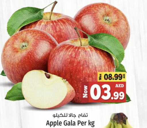  Apples  in كنز هايبرماركت in الإمارات العربية المتحدة , الامارات - الشارقة / عجمان