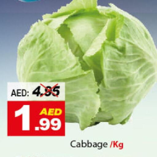  Cabbage  in ديزرت فريش ماركت in الإمارات العربية المتحدة , الامارات - أبو ظبي