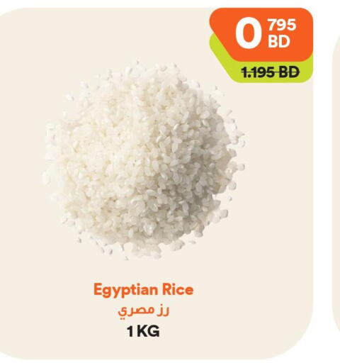  Egyptian / Calrose Rice  in Talabat Mart in Bahrain
