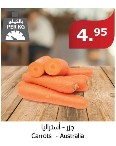  Carrot  in الراية in مملكة العربية السعودية, السعودية, سعودية - الطائف