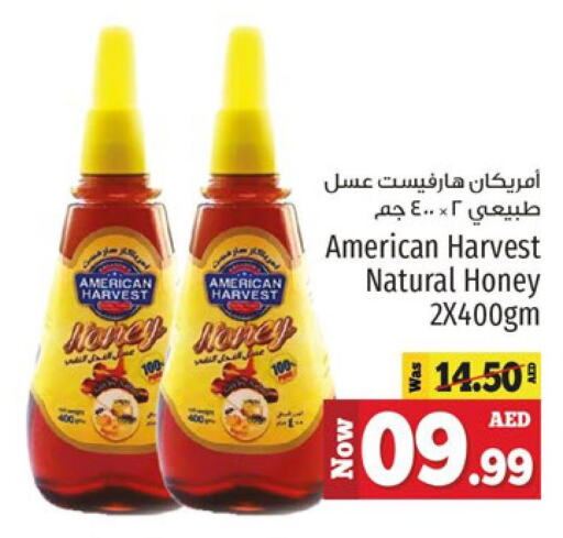 AMERICAN HARVEST Honey  in كنز هايبرماركت in الإمارات العربية المتحدة , الامارات - الشارقة / عجمان