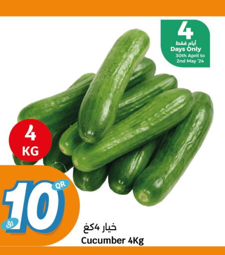  Cucumber  in سيتي هايبرماركت in قطر - الخور