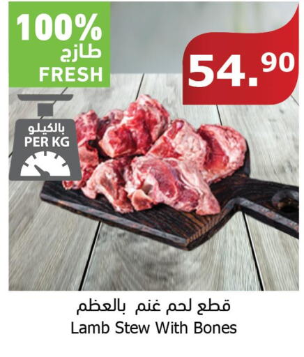  Mutton / Lamb  in الراية in مملكة العربية السعودية, السعودية, سعودية - الطائف