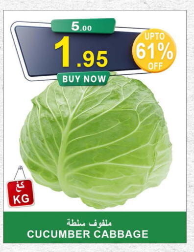 Cabbage  in أسواق خير بلادي الاولى in مملكة العربية السعودية, السعودية, سعودية - ينبع