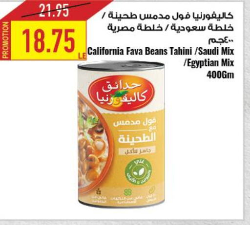 CALIFORNIA Fava Beans  in  أوسكار جراند ستورز  in Egypt - القاهرة