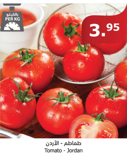  Tomato  in الراية in مملكة العربية السعودية, السعودية, سعودية - نجران