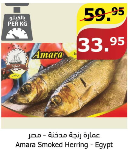  Tuna  in Al Raya in KSA, Saudi Arabia, Saudi - Abha