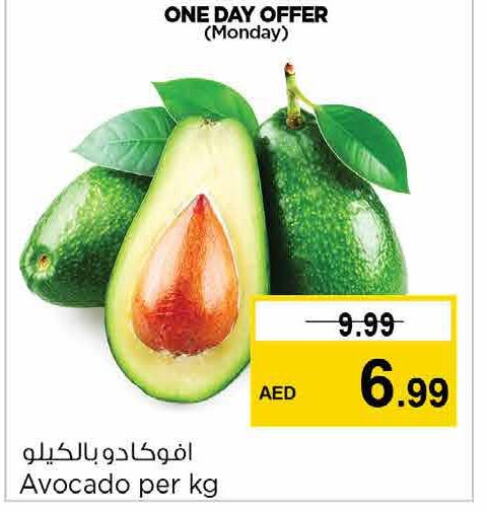  Avacado  in Nesto Hypermarket in UAE - Fujairah