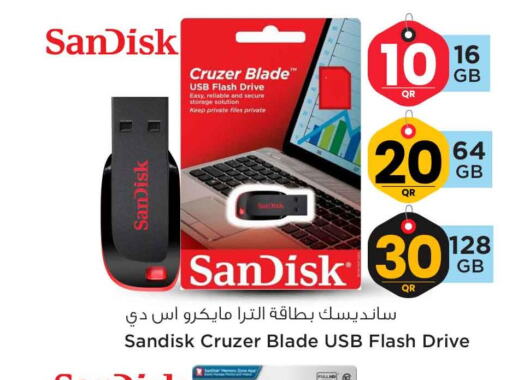 SANDISK Flash Drive  in سفاري هايبر ماركت in قطر - الشحانية