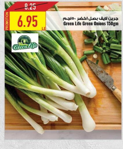  Onion  in Oscar Grand Stores  in Egypt - Cairo