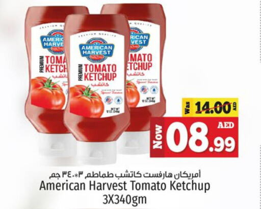 AMERICAN HARVEST Tomato Ketchup  in كنز هايبرماركت in الإمارات العربية المتحدة , الامارات - الشارقة / عجمان