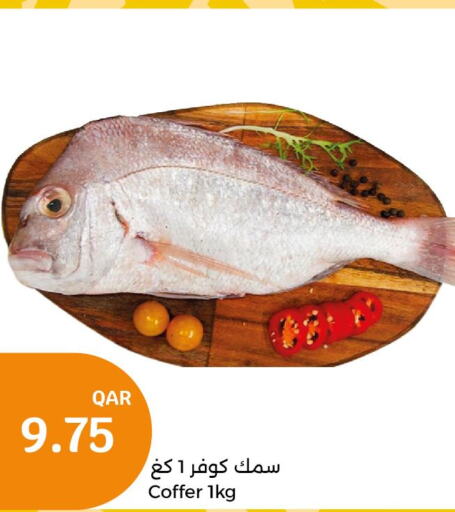  King Fish  in City Hypermarket in Qatar - Doha