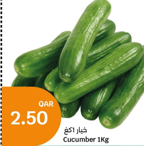  Cucumber  in سيتي هايبرماركت in قطر - الوكرة