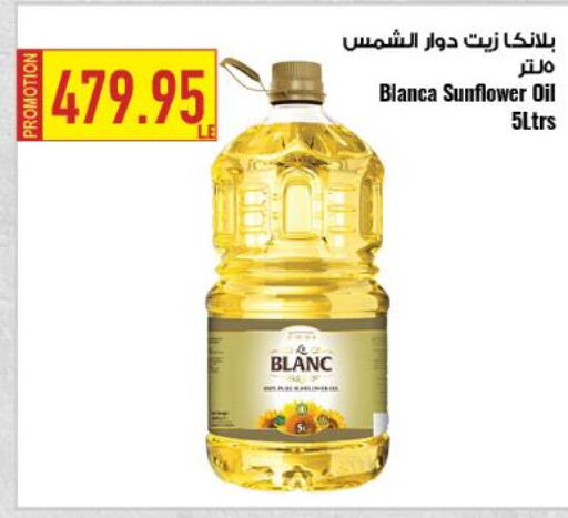 LE BLANC Sunflower Oil  in  أوسكار جراند ستورز  in Egypt - القاهرة