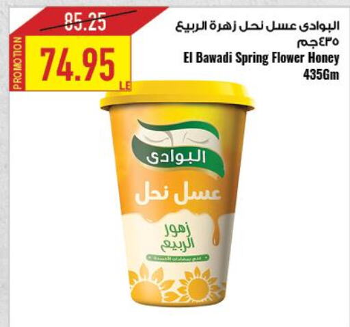 Honey  in Oscar Grand Stores  in Egypt - Cairo