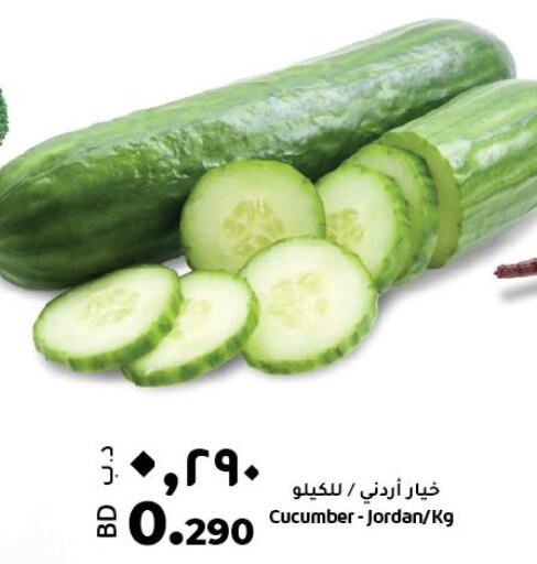  Cucumber  in لولو هايبر ماركت in البحرين