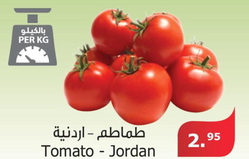  Tomato  in الراية in مملكة العربية السعودية, السعودية, سعودية - الباحة