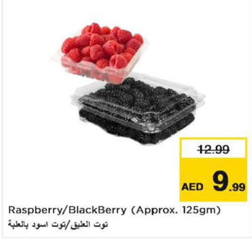  Berries  in Nesto Hypermarket in UAE - Al Ain