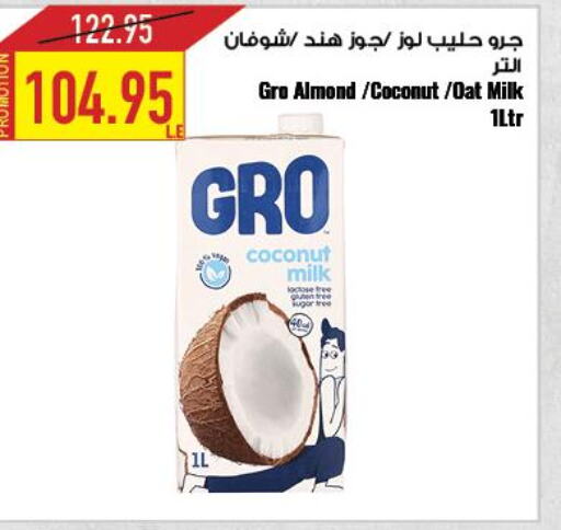  Coconut Milk  in Oscar Grand Stores  in Egypt - Cairo