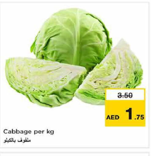  Cabbage  in لاست تشانس in الإمارات العربية المتحدة , الامارات - الشارقة / عجمان