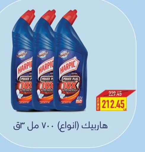 HARPIC Toilet / Drain Cleaner  in Oscar Grand Stores  in Egypt - Cairo