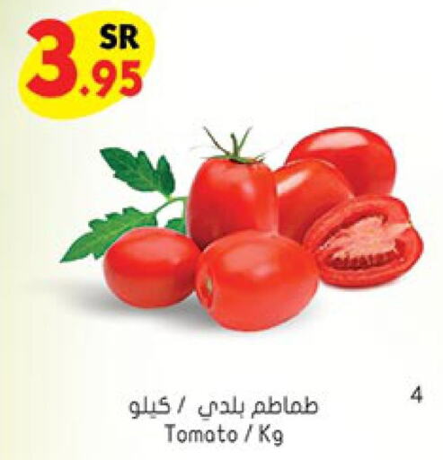  Tomato  in بن داود in مملكة العربية السعودية, السعودية, سعودية - خميس مشيط