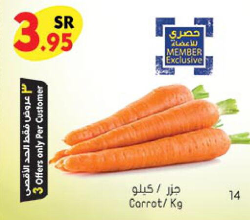  Carrot  in بن داود in مملكة العربية السعودية, السعودية, سعودية - خميس مشيط