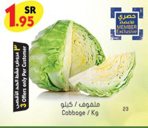  Cabbage  in بن داود in مملكة العربية السعودية, السعودية, سعودية - خميس مشيط