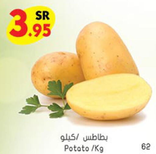  Potato  in بن داود in مملكة العربية السعودية, السعودية, سعودية - خميس مشيط