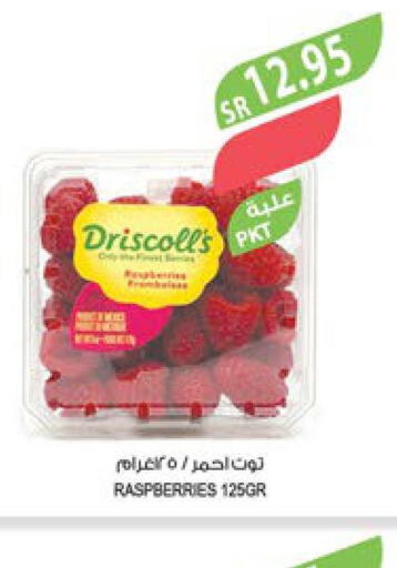  Berries  in المزرعة in مملكة العربية السعودية, السعودية, سعودية - الرياض