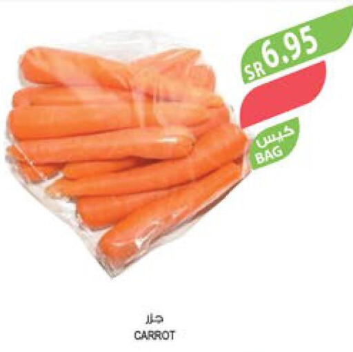  Carrot  in المزرعة in مملكة العربية السعودية, السعودية, سعودية - ينبع