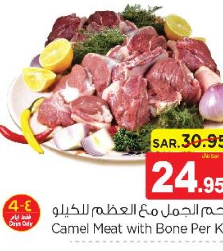  Camel meat  in نستو in مملكة العربية السعودية, السعودية, سعودية - بريدة