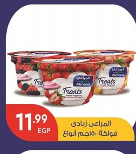 ALMARAI Yoghurt  in أولاد المحاوى in Egypt - القاهرة