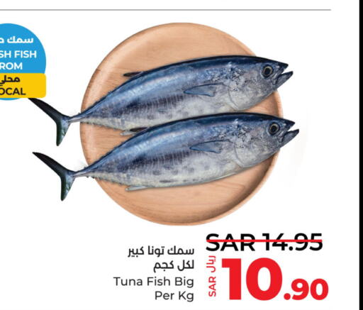  Tuna  in LULU Hypermarket in KSA, Saudi Arabia, Saudi - Al Hasa