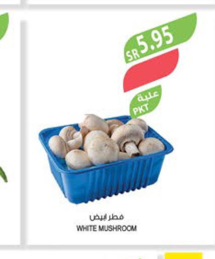  Mushroom  in المزرعة in مملكة العربية السعودية, السعودية, سعودية - الجبيل‎