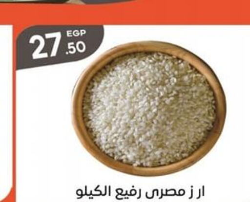  Egyptian / Calrose Rice  in El mhallawy Sons in Egypt - Cairo