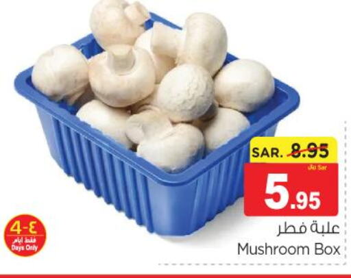  Mushroom  in نستو in مملكة العربية السعودية, السعودية, سعودية - بريدة
