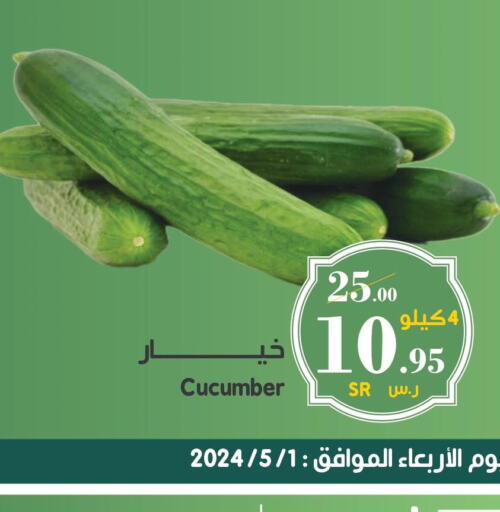  Cucumber  in Mira Mart Mall in KSA, Saudi Arabia, Saudi - Jeddah