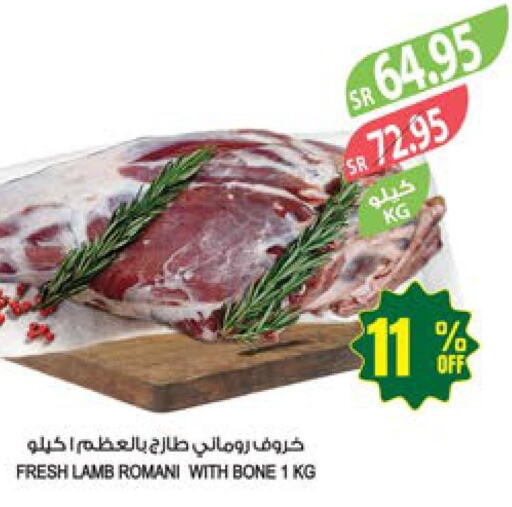  Mutton / Lamb  in Farm  in KSA, Saudi Arabia, Saudi - Al Bahah