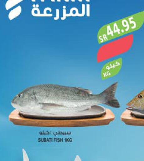  Tuna  in المزرعة in مملكة العربية السعودية, السعودية, سعودية - الأحساء‎
