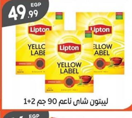 Lipton Tea Powder  in El mhallawy Sons in Egypt - Cairo