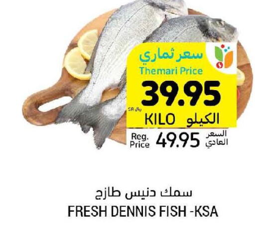  Tuna  in أسواق التميمي in مملكة العربية السعودية, السعودية, سعودية - الخبر‎