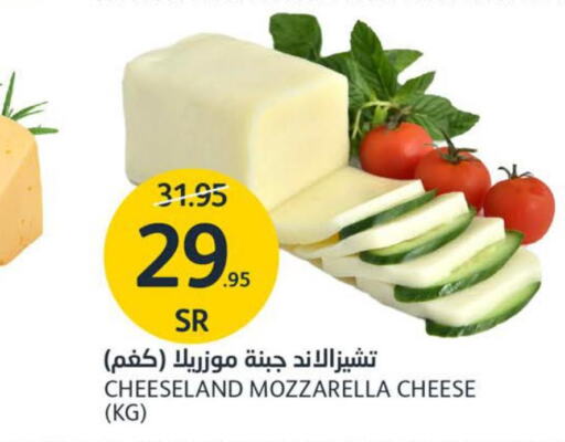  Mozzarella  in AlJazera Shopping Center in KSA, Saudi Arabia, Saudi - Riyadh