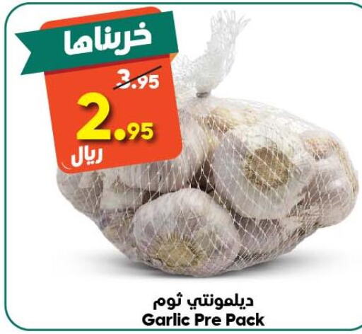  Garlic  in الدكان in مملكة العربية السعودية, السعودية, سعودية - الطائف