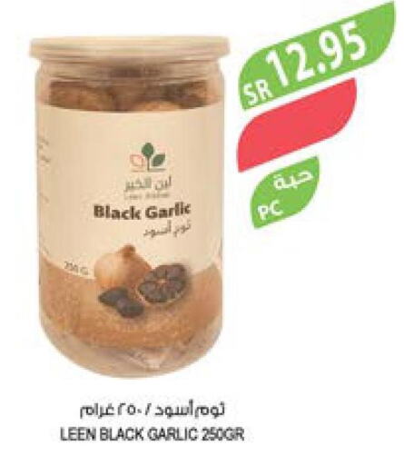  Garlic  in المزرعة in مملكة العربية السعودية, السعودية, سعودية - الباحة