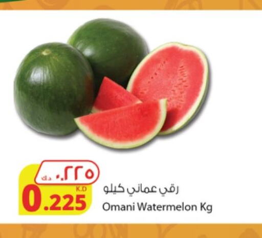  Watermelon  in شركة المنتجات الزراعية الغذائية in الكويت - مدينة الكويت