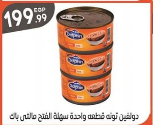  Tuna - Canned  in أولاد المحاوى in Egypt - القاهرة