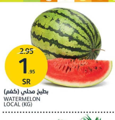  Watermelon  in مركز الجزيرة للتسوق in مملكة العربية السعودية, السعودية, سعودية - الرياض